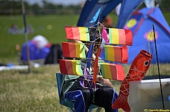 Venice kite festival_0121